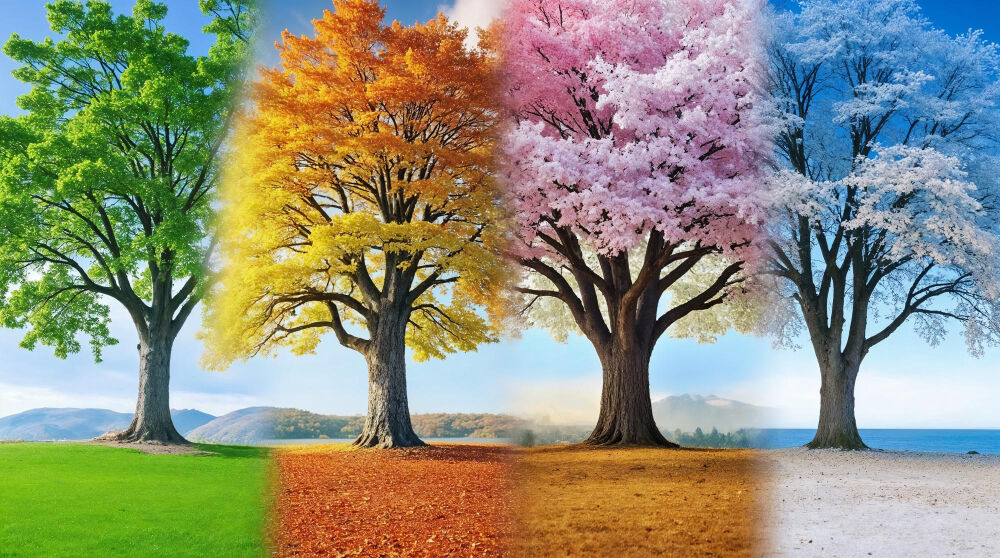 Ayların Adları Nereden Geliyor Takvimler Mevsimler Gençgazete (8)