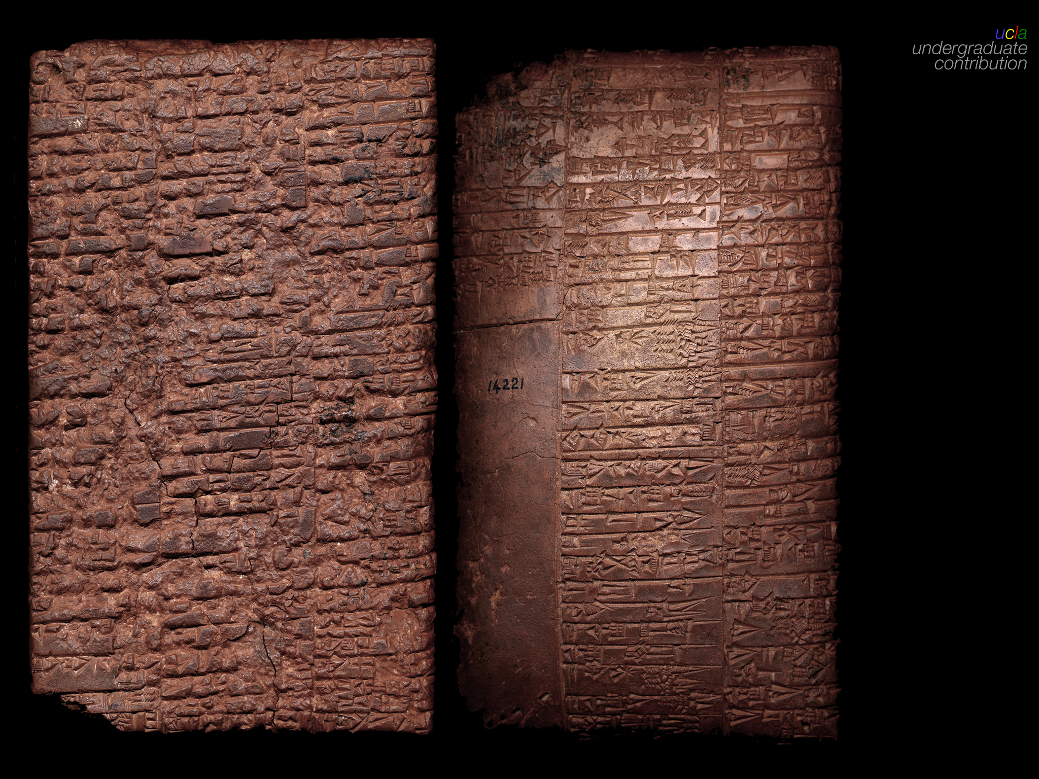 Bira En Çok Hangi Organlara Zarar Verir Gençgazete (4)