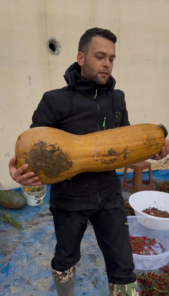 Bursa'da Ata Tohumundan 30 Kiloluk Kıbrıs Kabağı Yetiştirildi! (1)