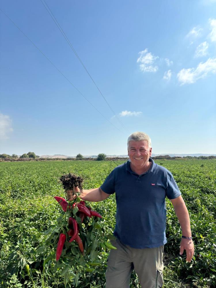 Bursa'da Çiftçi İsyanda! “Bu Maliyetlerle Üretim Yapılamaz” (3)