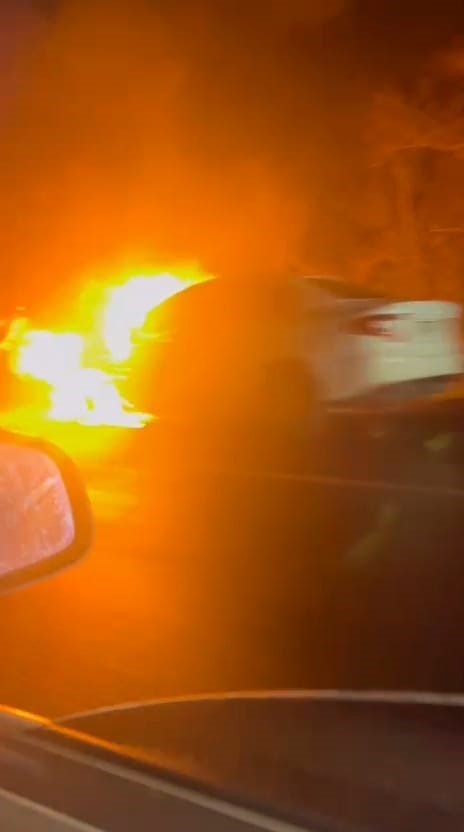 Bursa'da Seyir Halindeki Otomobil Alev Alev Yandı (4)