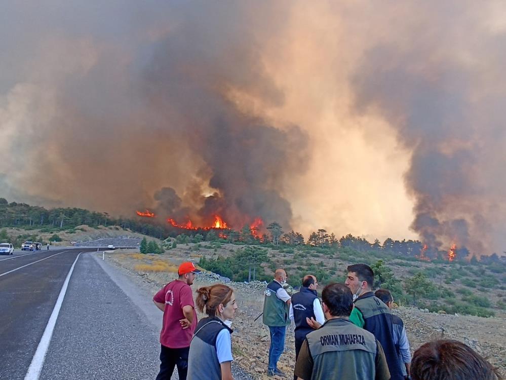 Bursa’daki Orman Yangınında Sabotaj İddiası! 15 Yıl Hapis İstemi (1)