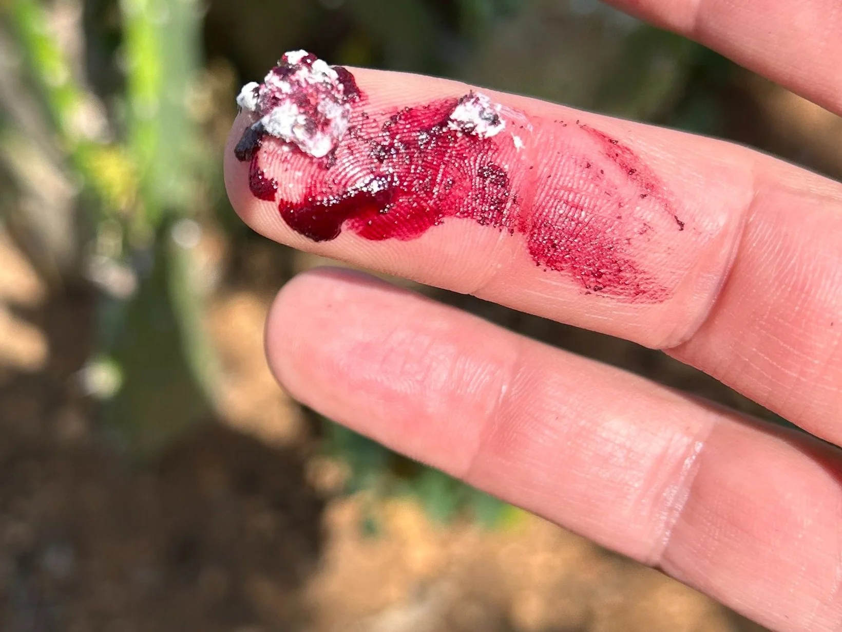 Coca Cola'nın Günümüzde Sahibi Kim Gençgazete (8)-1