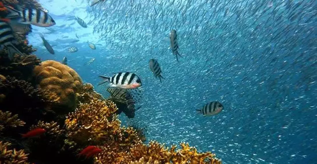 Deniz Suyu Neden Tuzludur?