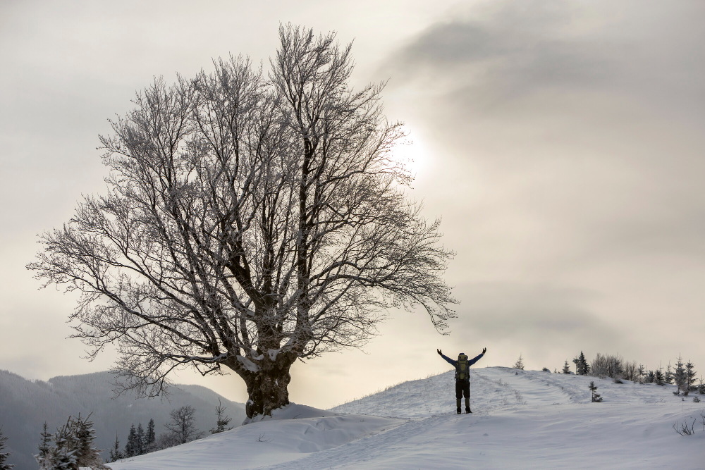 Dünya Kar Günü 18 Ocak Gençgazete (8)