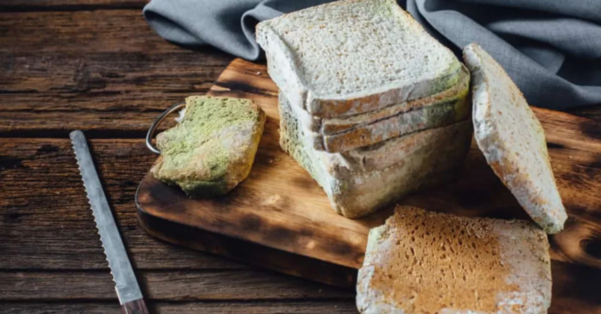 Ekmek Neden Küflenir3 Gencgazete