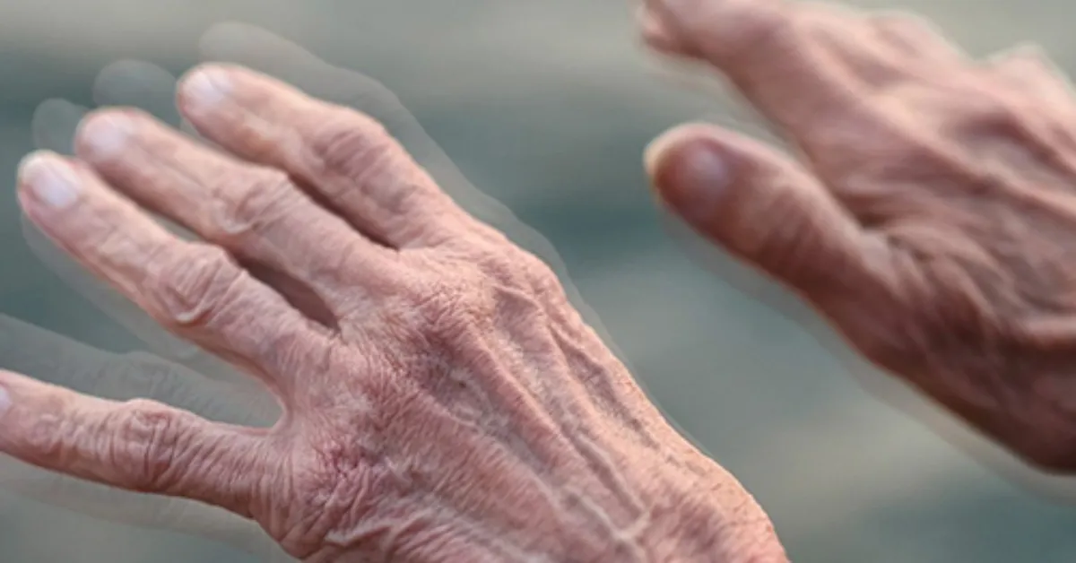 Ellerde Titreme Neden Başlar4 Gencgazete