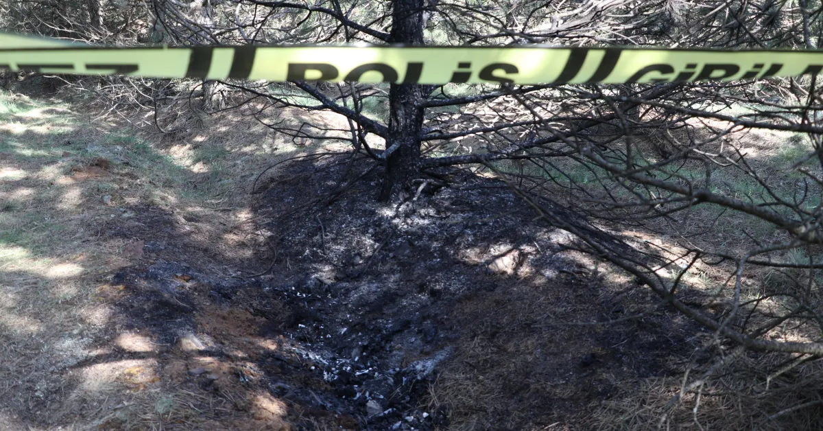 Eskişehir'deki Kan Donduran Kadın Cinayetinde Sanıktan Itiraf (2)