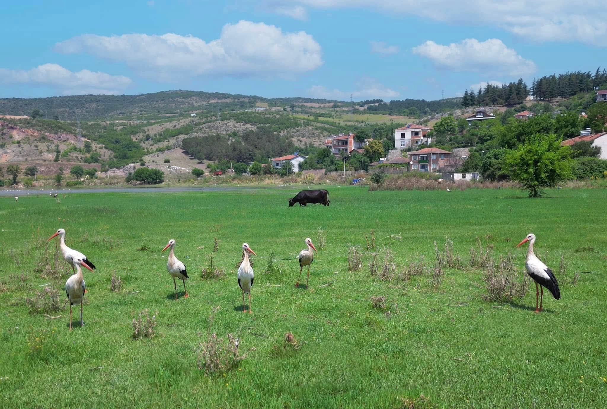 İnegöl'e Doğayla Iç Içe Yeni Bir Sosyal Alan Geliyor! (4)