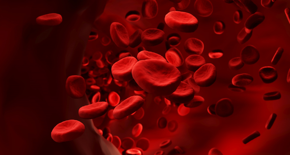 Kan Neden Pıhtılaşır Kan Pıhtılaşması Gençgazete (7)