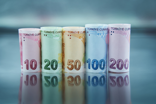 Ocak Halka Arz Takvimi! 3 Şirketten 299,5 Milyon Lot (2)