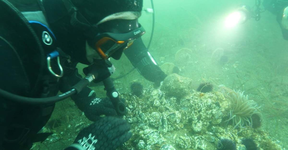 Prof. Dr. Sarı'dan Belediye Başkanlarına Keşif Dalışı Daveti (2)