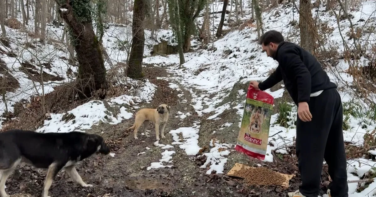 Uludağ'da Kar 1 Metreyi Aştı Aç Kalanların Imdadına Yetiştiler! (2)
