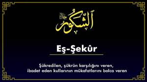 Ya Şekür, Eş Şekür Ne Demek Esmaül Hüsna Gençgazete (11)