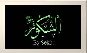 Ya Şekür, Eş Şekür Ne Demek Esmaül Hüsna Gençgazete (9)