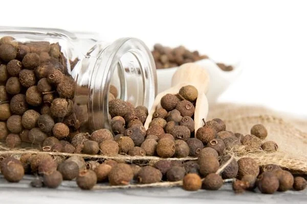 Yenibahar Nedir, Ne İşe Yarar Mutfaktan Sağlığa Kullanım Alanları Neler (1)-1