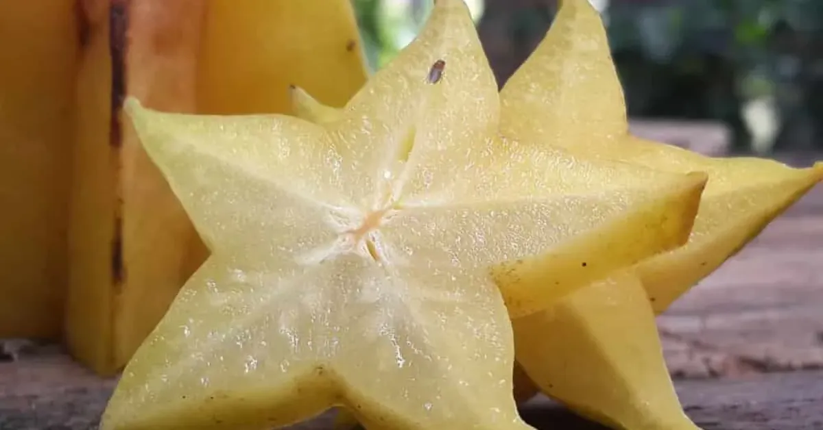 Yıldız Meyvesi Nedir, Ne İşe Yarar Yıldız Meyvesinin Faydaları Ve Bilinmesi Gerekenler (2)