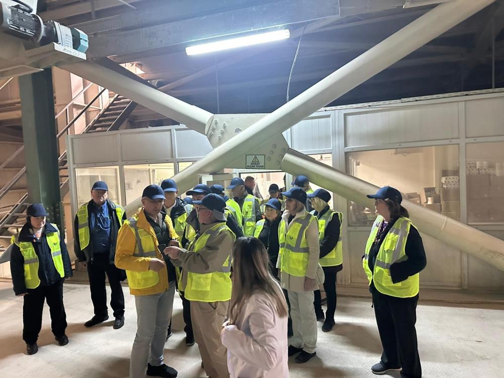 Abd Abd Türk Tavuğunun Peşine Düştü! (4)