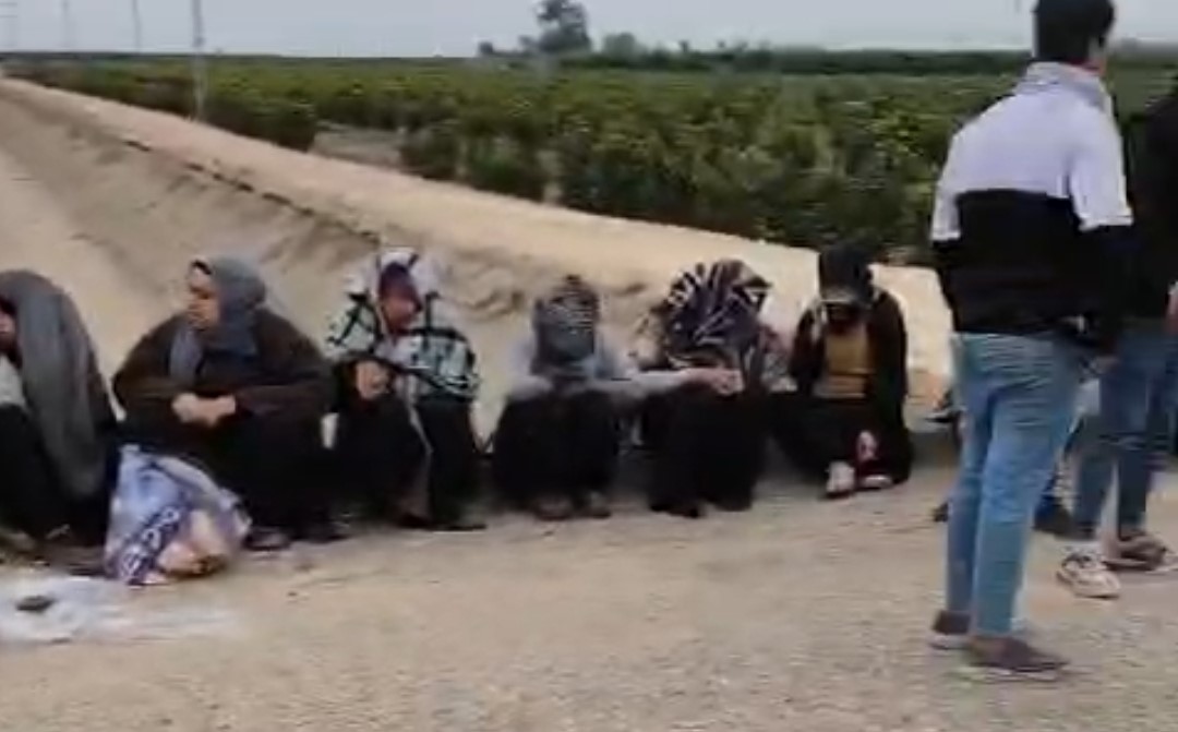 Adana'da Trafik Kazası! 1'I Ağır 7 Tarım Işçisi Yaralandı (1)