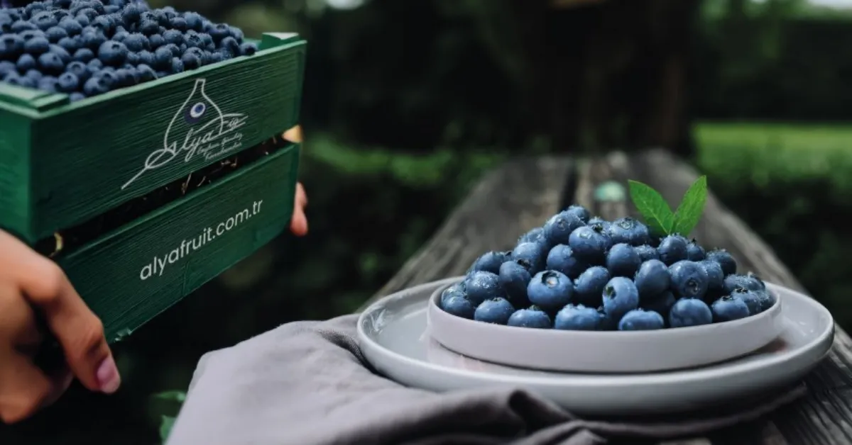 Bursa’da Alya Meyve Ve Gıda’ya İflas Kararı (2)