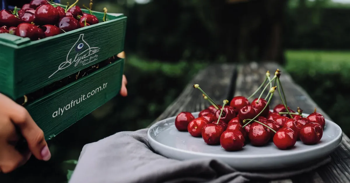 Bursa’da Alya Meyve Ve Gıda’ya İflas Kararı (4)