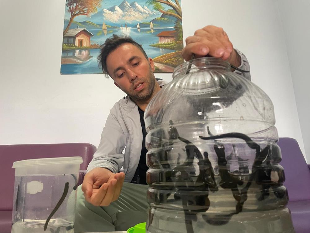 Bursa'da Birçok Hastalığa Şifa Oluyorlar! Özellikle Cilt Güzelliği Sülükte.. (2)