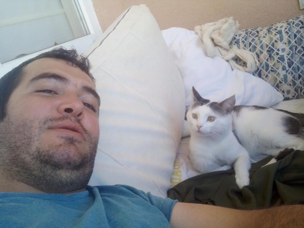 Bursa'da Kaybolan Kedisini Bulana 10 Bin Lira Para Ödülü Verecek! (1)