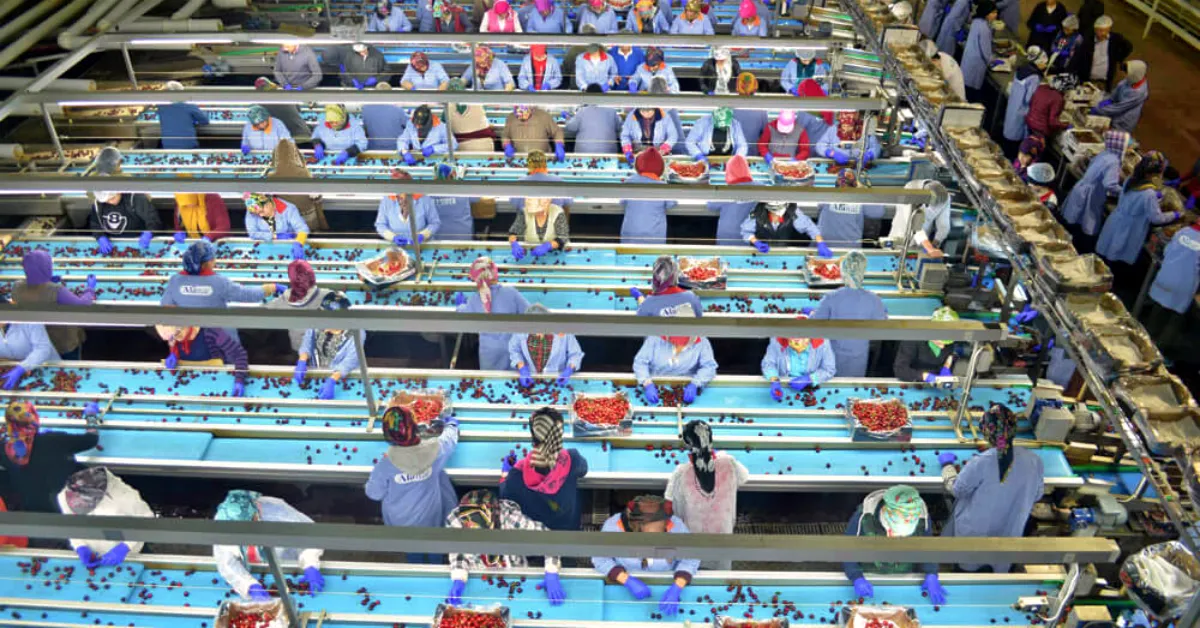 Bursadaki Dev Firma Icin Kritik Tarih Aciklandi Gencgazete