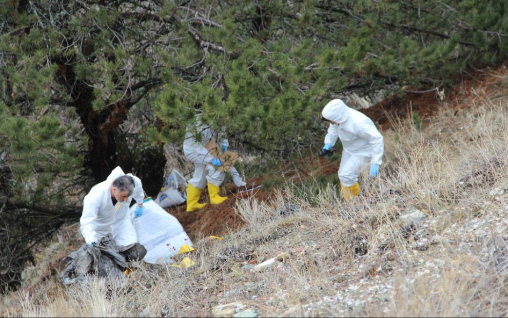 Çorum’da 6 Gündür Kayıp Olan Yaşlı Adam Dere Yatağında Parçalanmış Halde Bulundu (4)-1