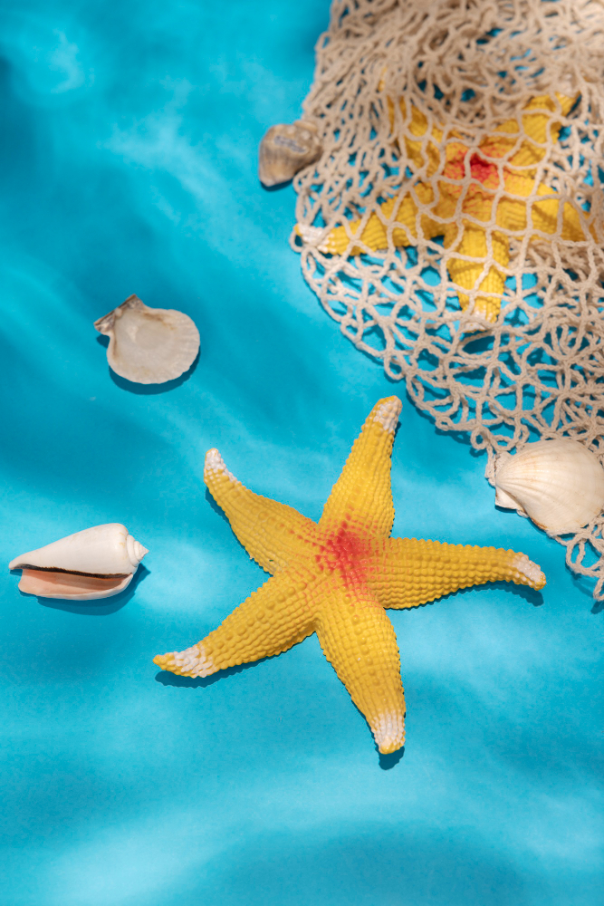 Deniz Yıldızının Öyküsü Gençgazete (12)