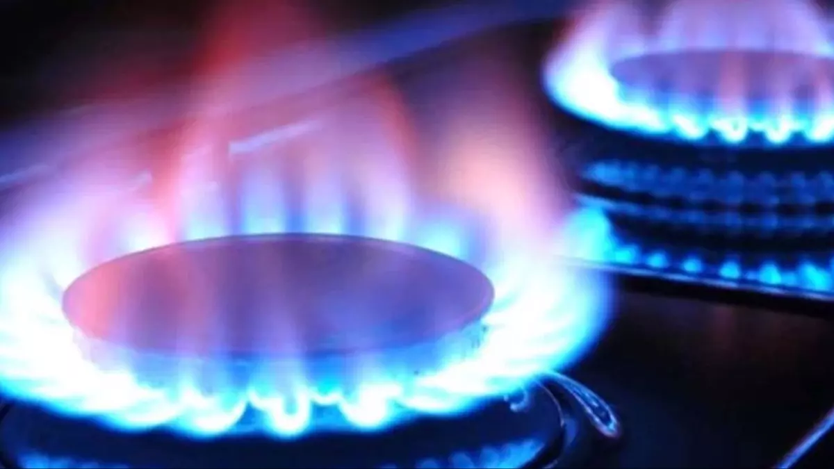 Doğal Gazda Kurallar Sil Baştan Değişti! 65 Yaş Üstüne Muafiyet, Faturalara Yeni Düzenleme (2)