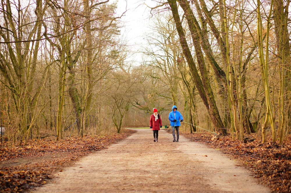 Dünya Yürüyüş Günü 22 Şubat Ne Günü (13)
