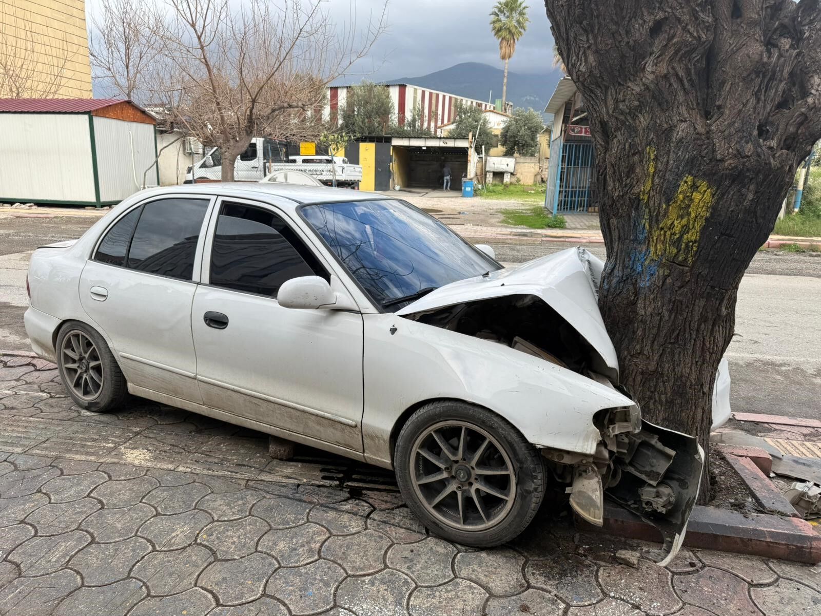 Ehliyetsiz Sürücünün Kontrolünü Kaybettiği Otomobil Ağaca Çarptı... O Anlar Kamerada (2)