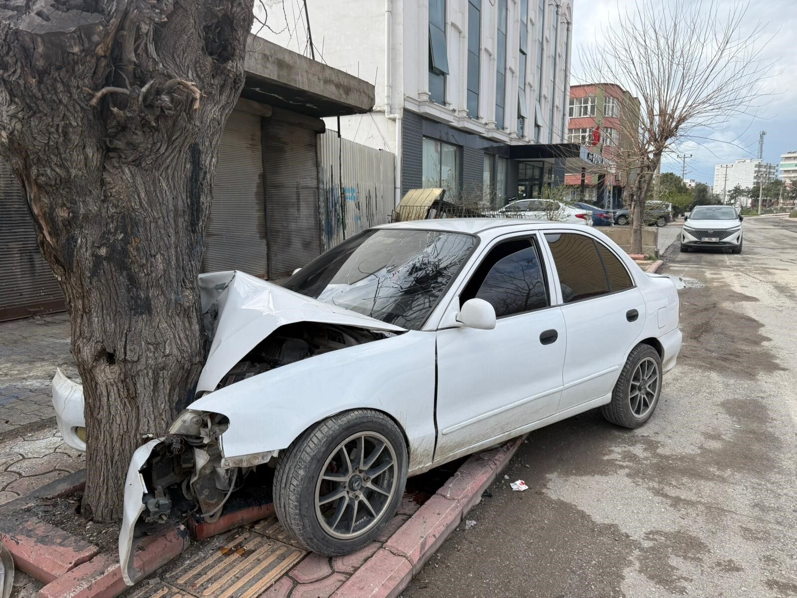 Ehliyetsiz Sürücünün Kontrolünü Kaybettiği Otomobil Ağaca Çarptı... O Anlar Kamerada (4)