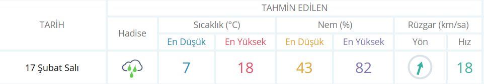 Ekran Görüntüsü 2026 02 17 081450