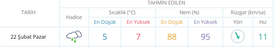 Ekran Görüntüsü 2026 02 22 080849