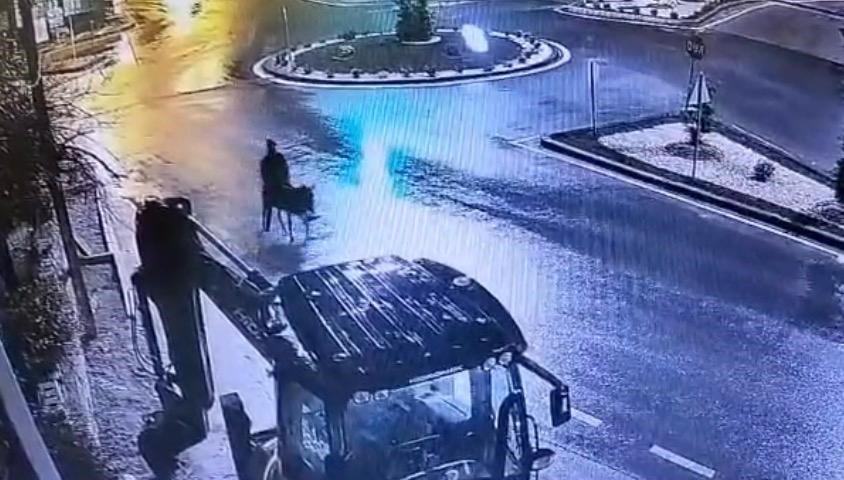 Forklifle Gelmiş, Eşekle Kaçmış (2)