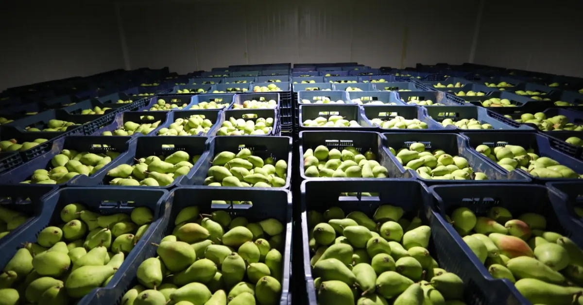 İnegöl’de Tarımın Geleceğine Yönelik Adımlar Atılıyor (9)