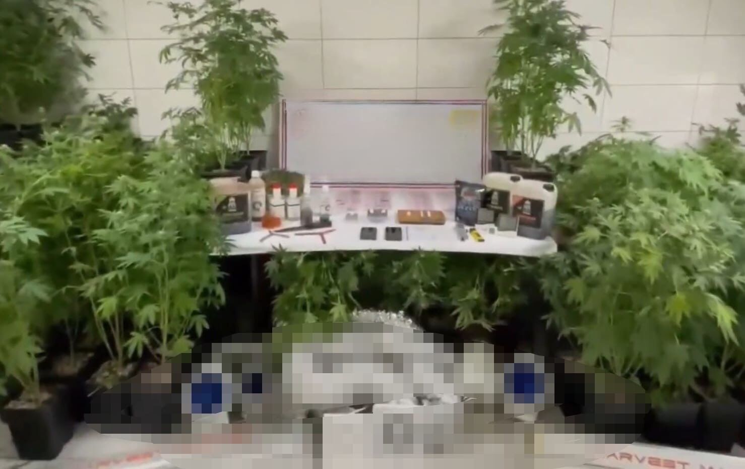 Jandarmadan Uyuşturucu Operasyonu! Evde Üretim Düzeneği Kurmuş (2)