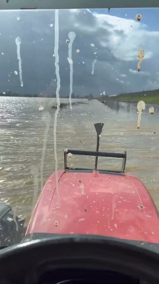 Karnabahar Tarlasını Vurdu! (2)