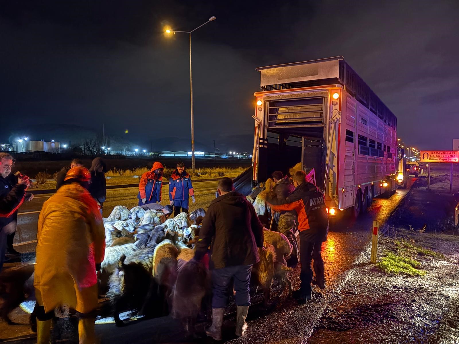 Kayseri’de 200 Hayvan Tahliye Edildi (1)