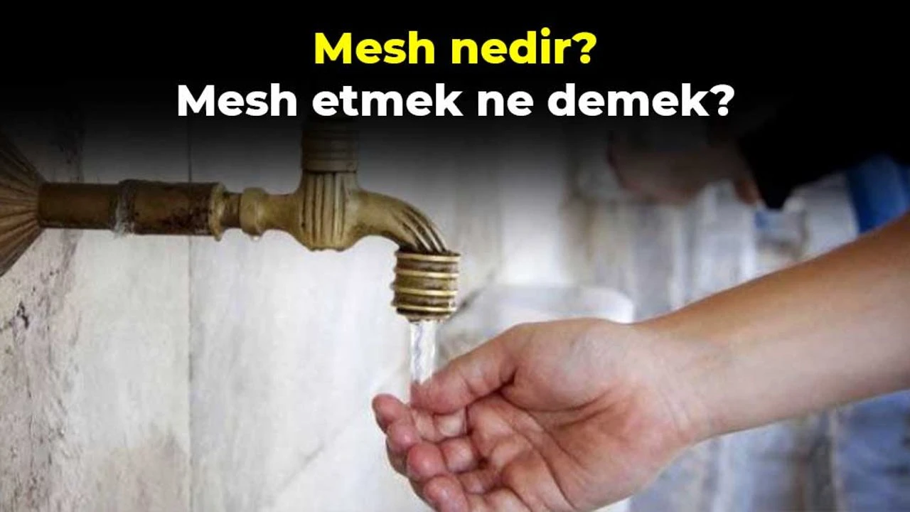 Mest Ve Mesh Nedir, Mest Üzerine Mesh Gençgazete (1)-1