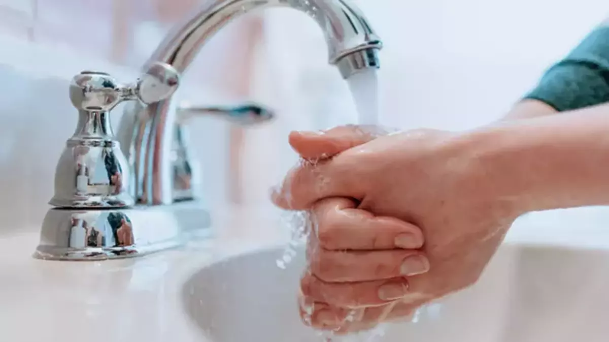 Mest Ve Mesh Nedir, Mest Üzerine Mesh Gençgazete (3)-1