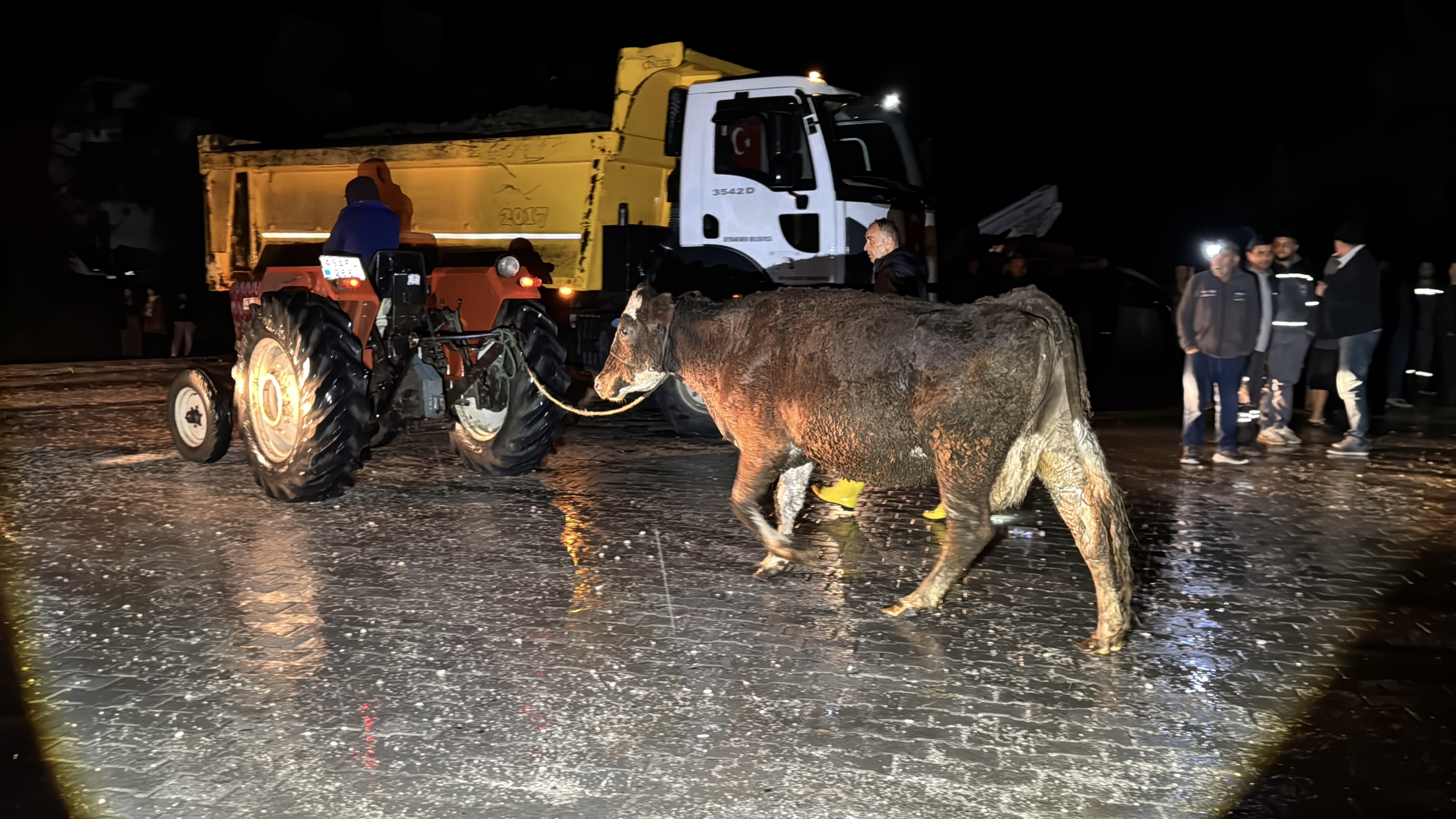 Muğla'da Su Baskını! Evler Tahliye Edildi (2)