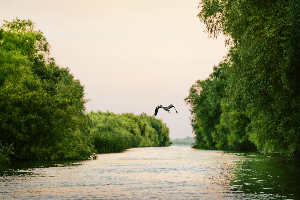 Rüyada Irmak Görmek Rüyada Nehir Gençgazete (3)