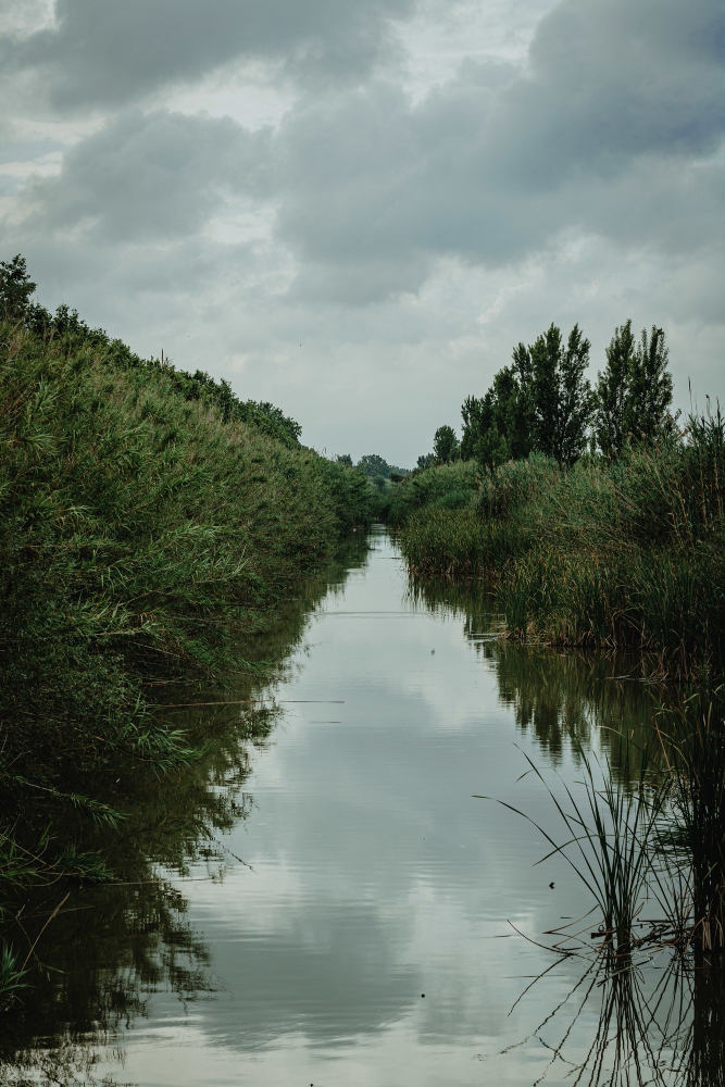 Rüyada Irmak Görmek Rüyada Nehir Gençgazete (5)