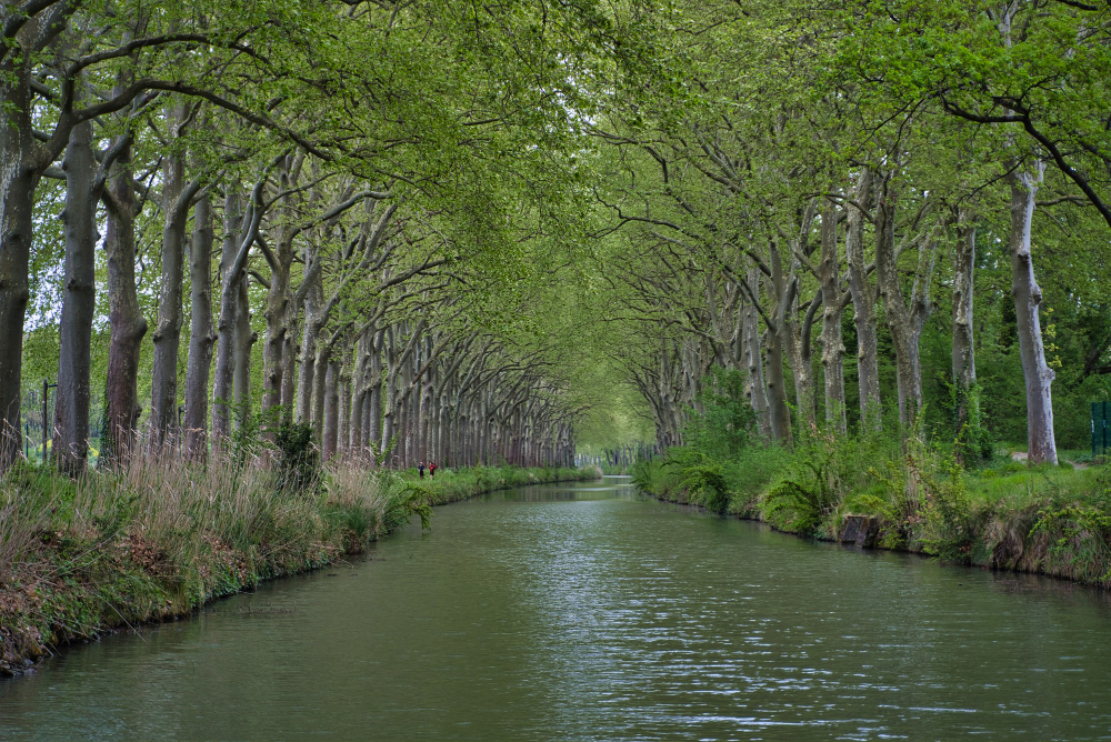 Rüyada Irmak Görmek Rüyada Nehir Gençgazete (6)