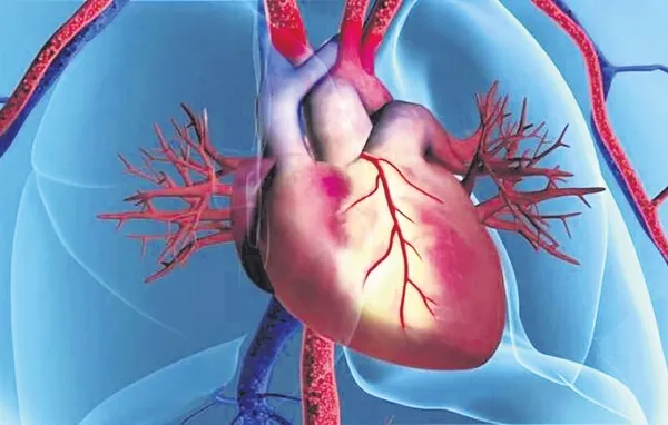 Soframızdaki Tehlike Büyüyor Mu Uzmanlar Kalp Ve Damar Hastalıklarını Tetikleyen Gıdaları Açıkladı! (1)-1