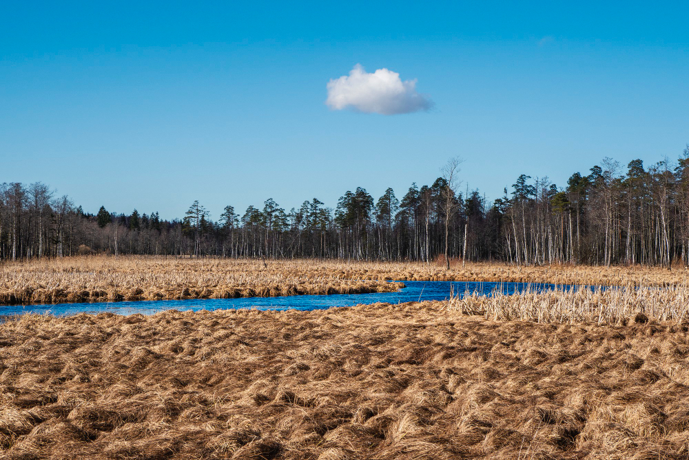 Su Sulak Alan 02 Şubat Ne Günü Gençgazete (1)