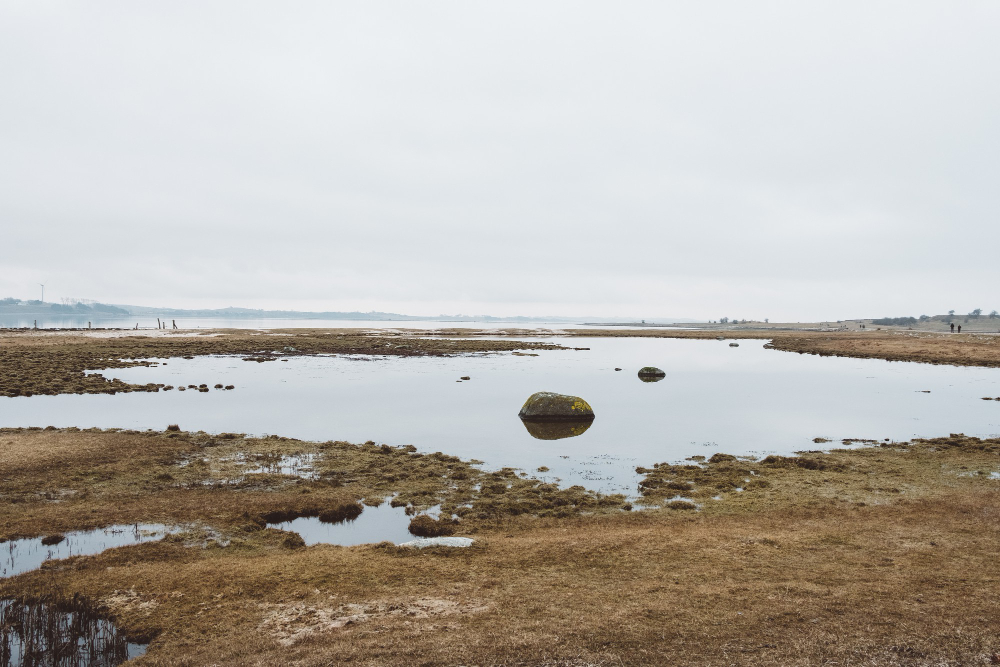 Su Sulak Alan 02 Şubat Ne Günü Gençgazete (2)